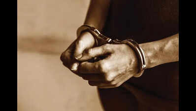 Gujarat: One held with IMFL worth 38.8L in Aravalli raid