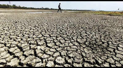 Latur farmer collapses & dies, fourth suspected heatstroke death so far in state this summer