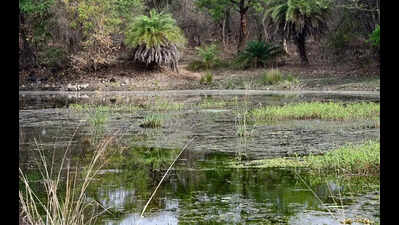 Drone survey ordered after joint inspection with MPCB at Gorewada Lake