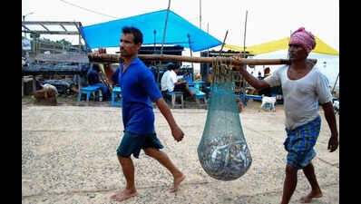 Where maachh guarantees a plate of bhaat: East Mdn fishermen battle tides of change