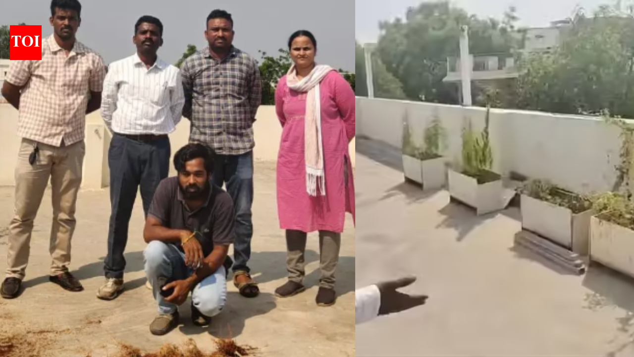 Hyderabad techie becomes 'ganja developer' after losing job; 17 plants seized from rooftop