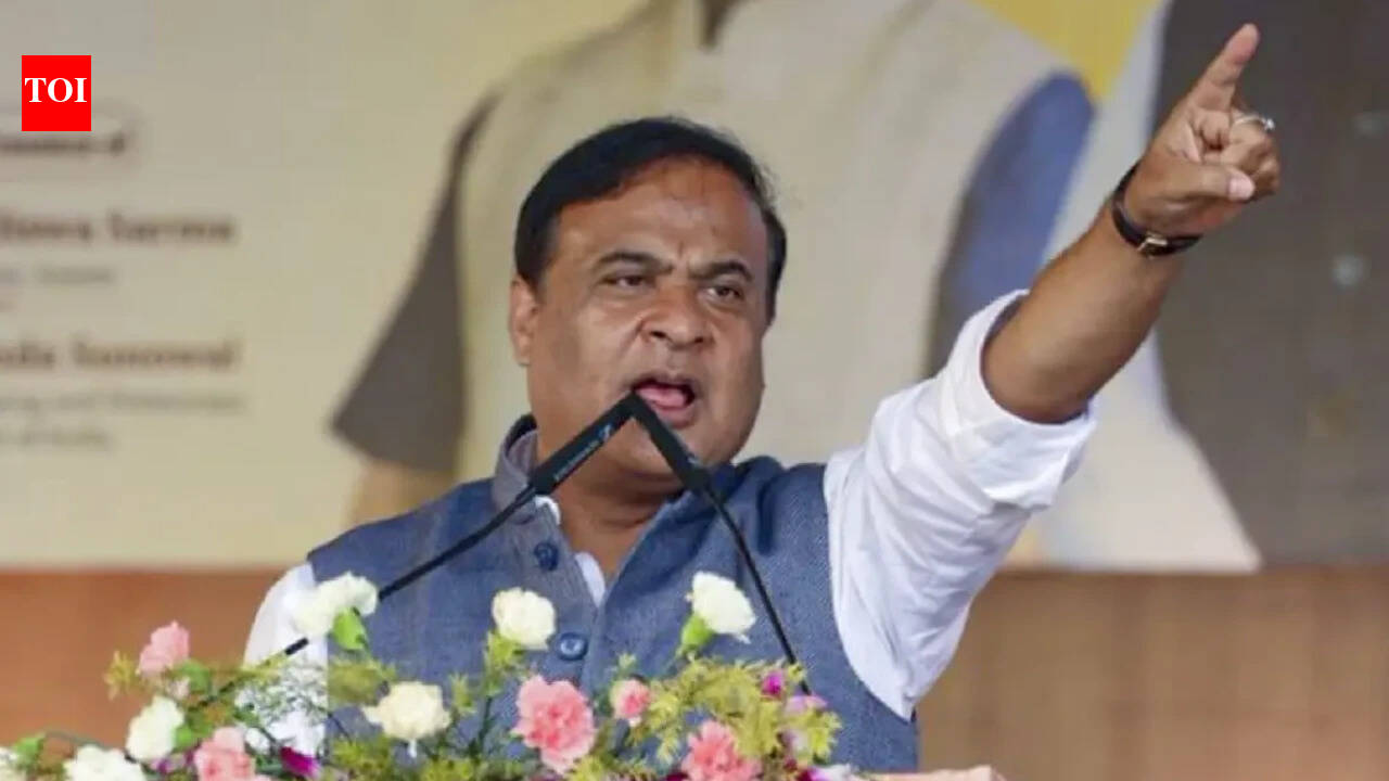 Guwahati high court asks Himanta to reply to hate speech PILs within 4 weeks