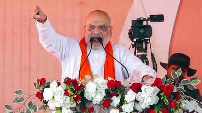 Shah’s ‘Eyy Didi’ remark draws TMC ire