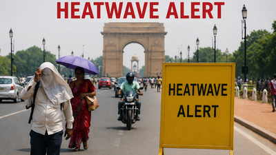 Delhi-NCR heatwave alert: As temperatures soar, doctor urges people to avoid stepping out between 11 AM and 4 PM