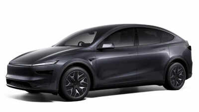 Tesla Model Y Long Wheelbase AWD launched in India: Price, details