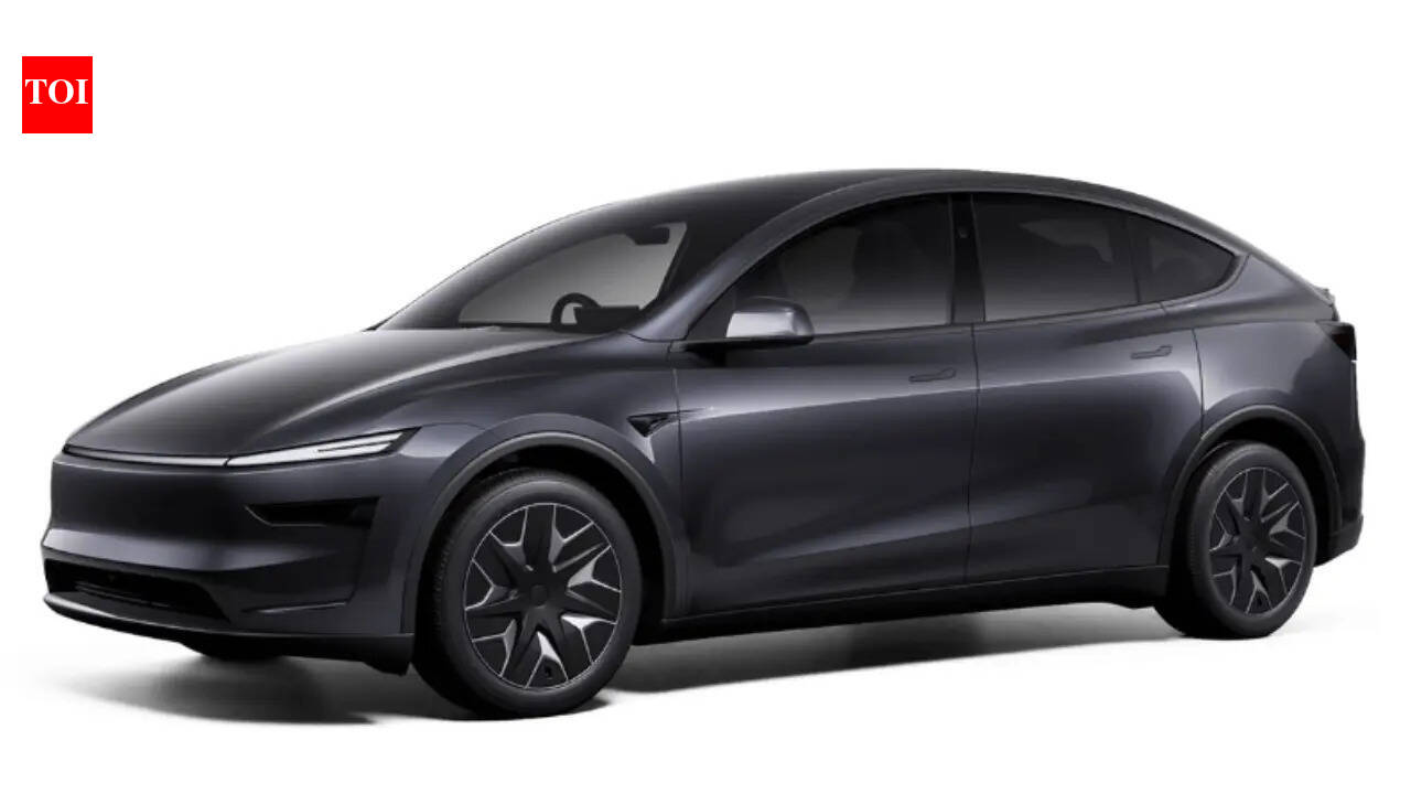 Tesla Model Y Long Wheelbase AWD launched in India: Price, details