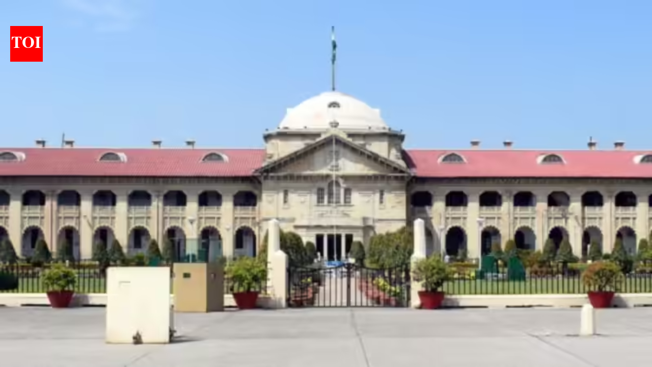 दूसरी मातृत्व छुट्टी केवल इसलिए अस्वीकार नहीं की जा सकती क्योंकि पहली छुट्टी के 2 साल के भीतर मांगी गई थी: इलाहाबाद HC | भारत समाचार