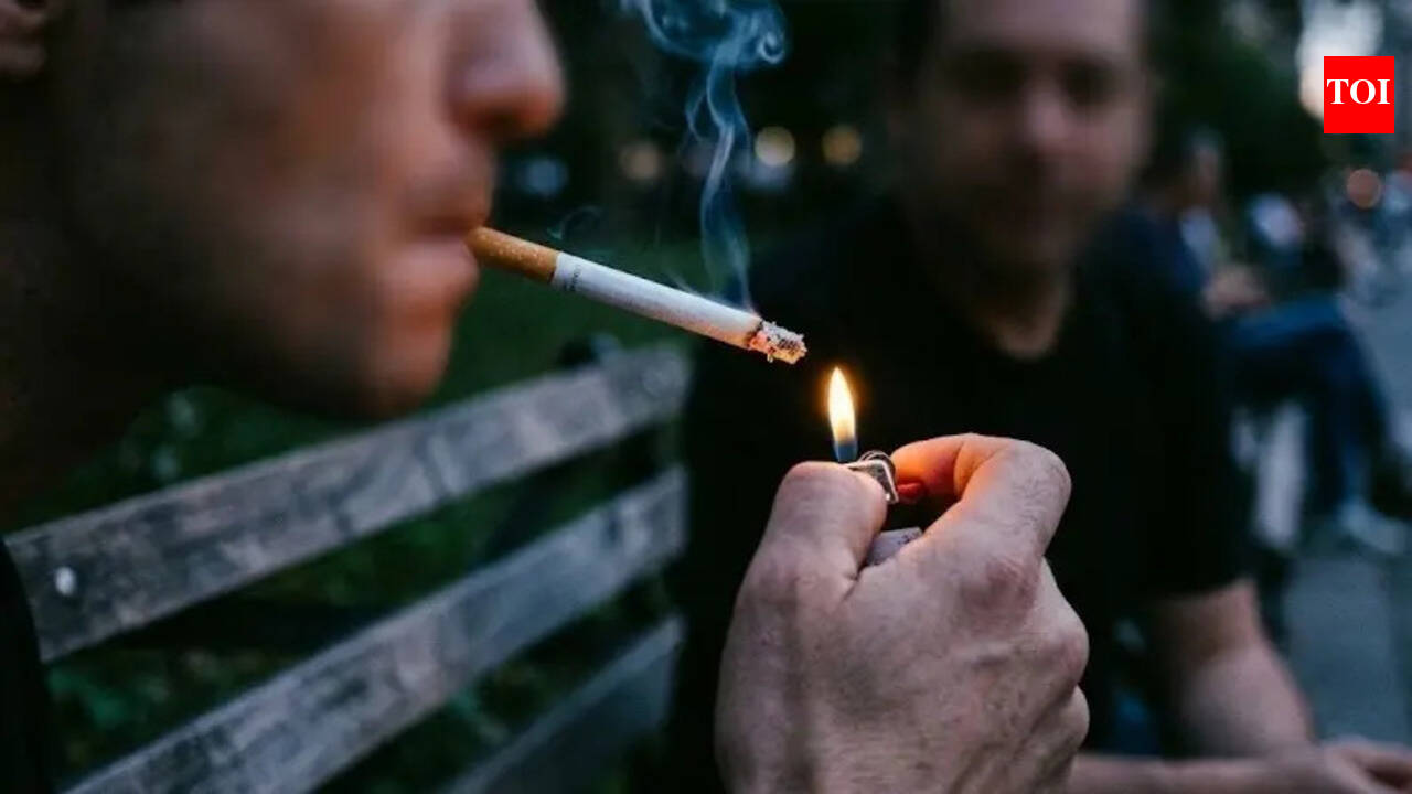 what is herbal cigarettes Quit Smoking Now With Honeyrose Herbal Cigarettes – News –