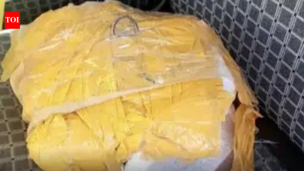 Heroin worth 70 crore seized from scooter of man hurt in Rajasthan's Bikaner mishap | Jaipur News - The Times of India