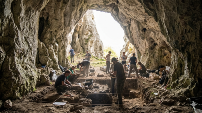 80,000-year-old DNA from Stajnia Cave reveals the oldest Neanderthal group in Central-Eastern Europe