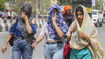 Brace for heat: Polling day may 'feel like' 40C across Chennai