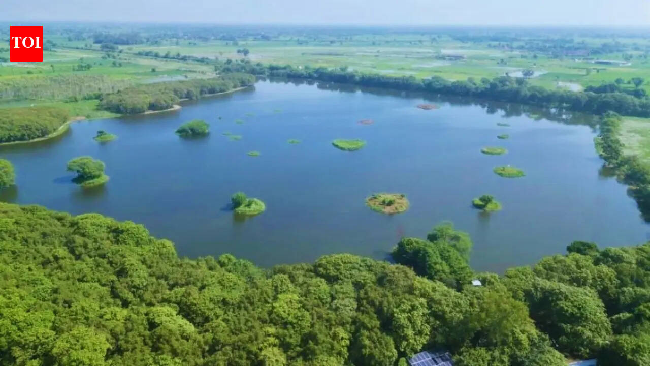 India’s 99th Ramsar site could become Uttar Pradesh’s next big eco-tourism spot