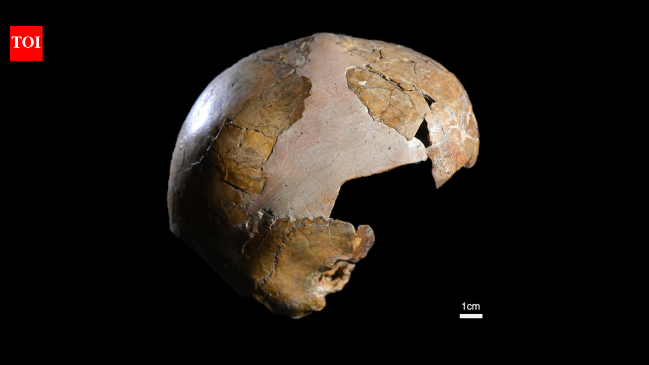 7.5k-year-old skull thought to be 'human-neanderthal hybrid' turns out to be something else