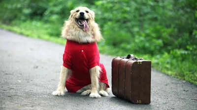 British pet owners have been warned that new EU travel rules may render some pet passports invalid