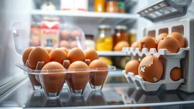 The temperature trap: Why your prime egg storage spot is actually a safety risk