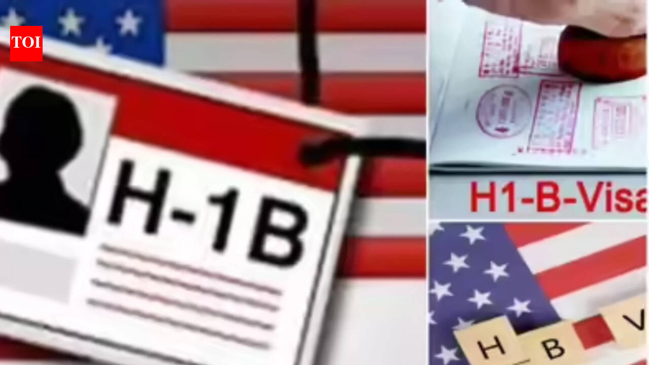 H-1B visa holders harassed by influencers: Immigration attorneys say 'don't open the doors, you are not...'