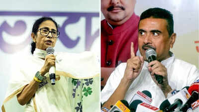 TMC vs BJP: Will anger over SIR impact electoral battle in Bengal?