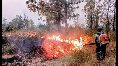Forest fires cross 18k with Baliguda, Kalahandi North division being hotspots