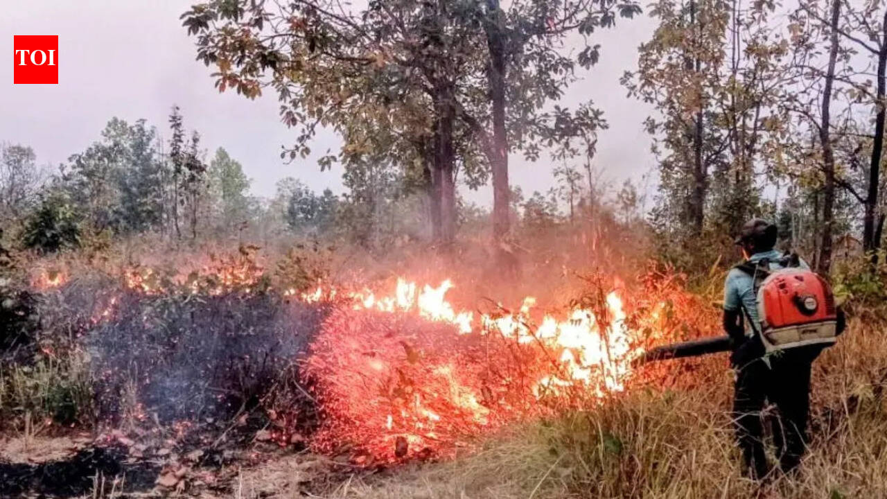 Forest fires cross 18k with Baliguda, Kalahandi North division being hotspots