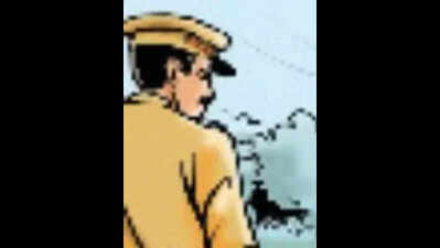 Bengaluru police on manhunt after daylight molestation attempt
