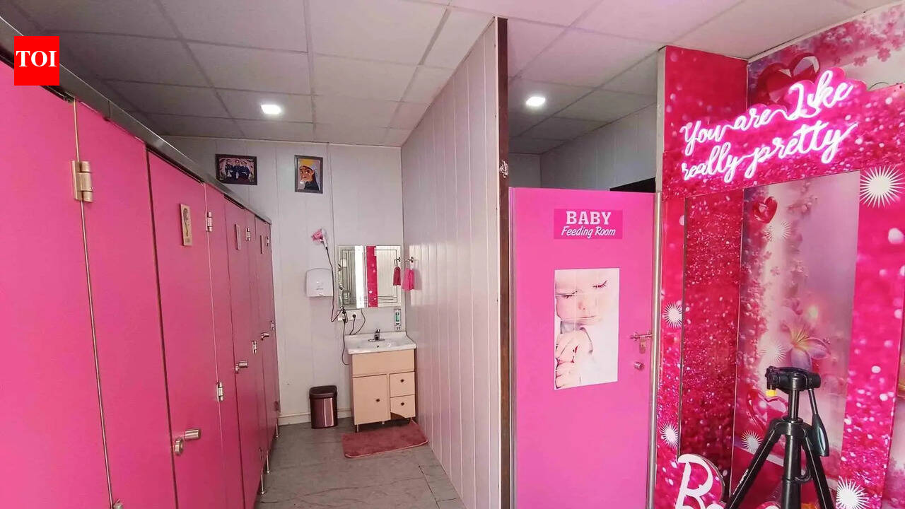 Pink toilets to dog shelters: State of Dehradun’s civic projects in 2026