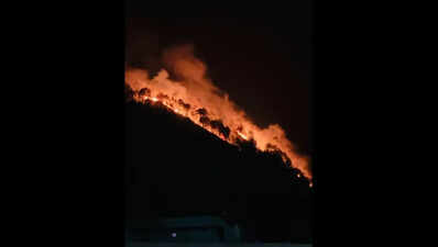 Uttarakhand receives 260 fire alerts in a day; doctors urge caution