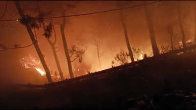 Uttarakhand receives 260 fire alerts in a day; doctors urge caution