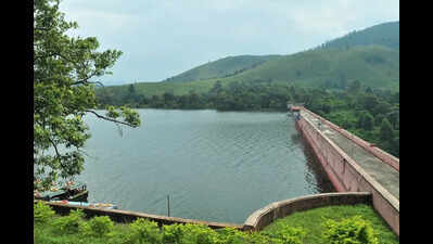 Lower Camp power generation suspended as water flow halts