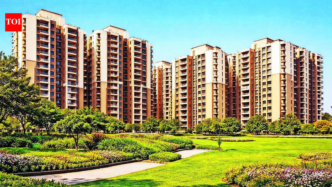 DDA’s 53km Yamuna cycle track to roll out after NGT nod