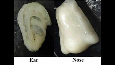 NITR team develops bio-ink to aid 3D bioprinting, tissue engineering