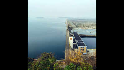 Mahanadi tribunal raps Odisha, Chhattisgarh over repeated adjournments