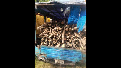 2 autos loaded with illegal firewood seized in Palamu
