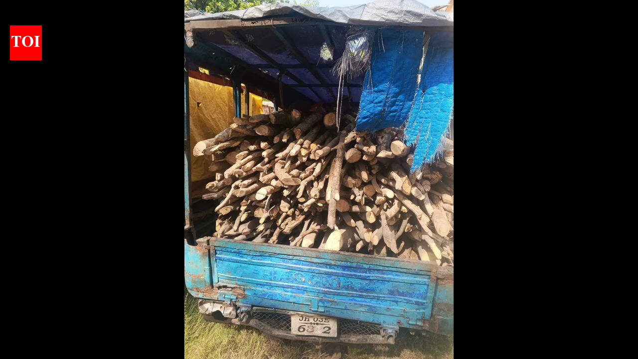 2 autos loaded with illegal firewood seized in Palamu