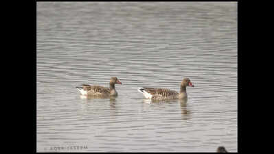  Shekha Jheel Declared Ramsar Site Amid Official Delight