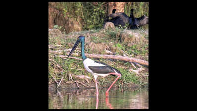  Shekha Jheel Declared Ramsar Site Amid Official Delight