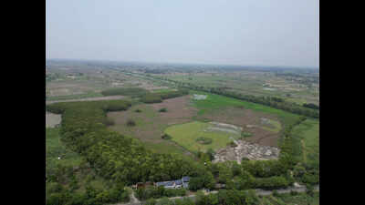  Shekha Jheel Declared Ramsar Site Amid Official Delight