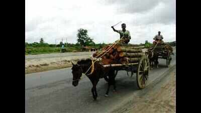 Govt constructs over 6k-km rural roads in Seemanchal