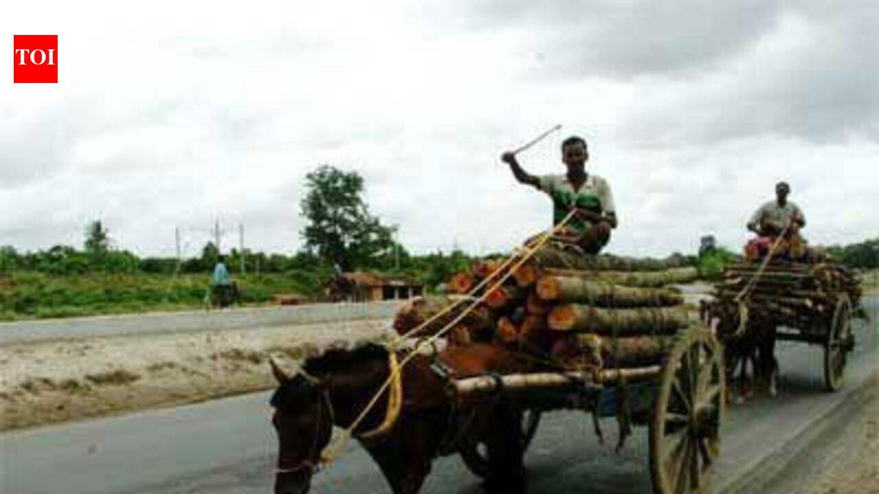 Govt constructs over 6k-km rural roads in Seemanchal