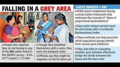 Data-driven ‘Social Justice 2.0’ can empower the needy, suggests IEWG