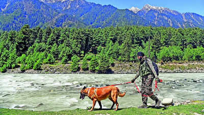  Modi on Pahalgam attack anniv