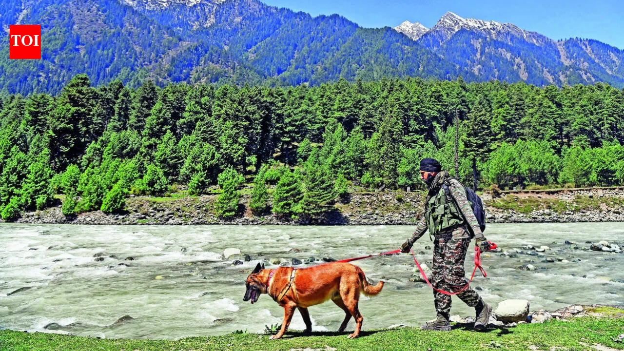 ‘India will never bow to terror’: Modi on Pahalgam attack anniv