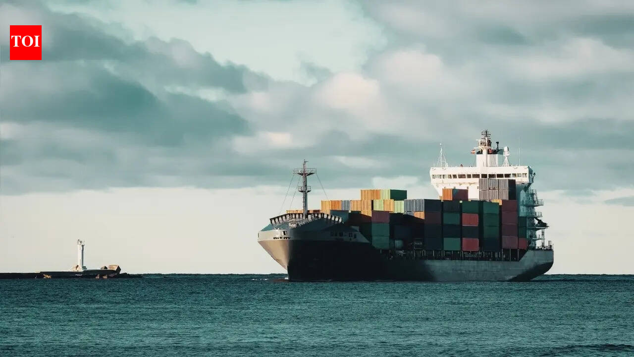 Govt extends e-visa entry to 14 seaports: Why ports need visa; 5 Indian ports where you can't enter without a visa