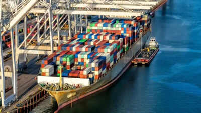 Government plans special vessels to West Asia to ensure lower cost for exporters