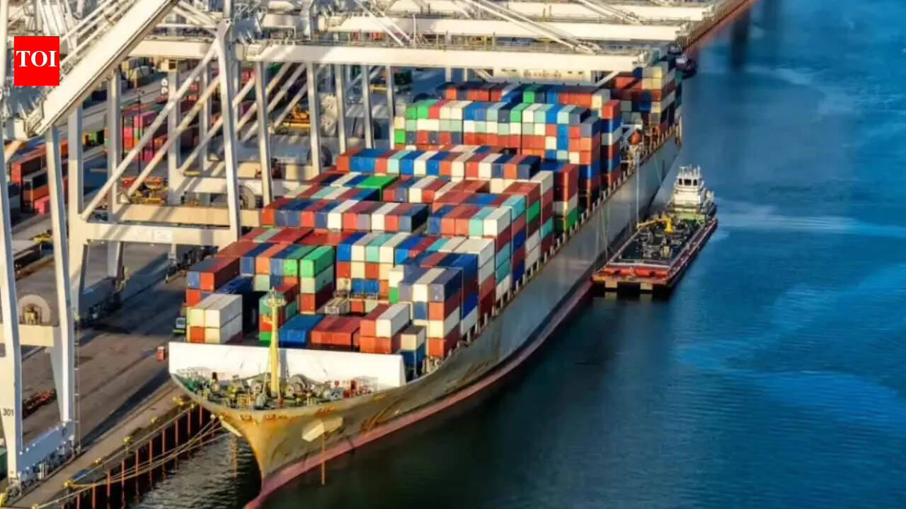 Government plans special vessels to West Asia to ensure lower cost for exporters