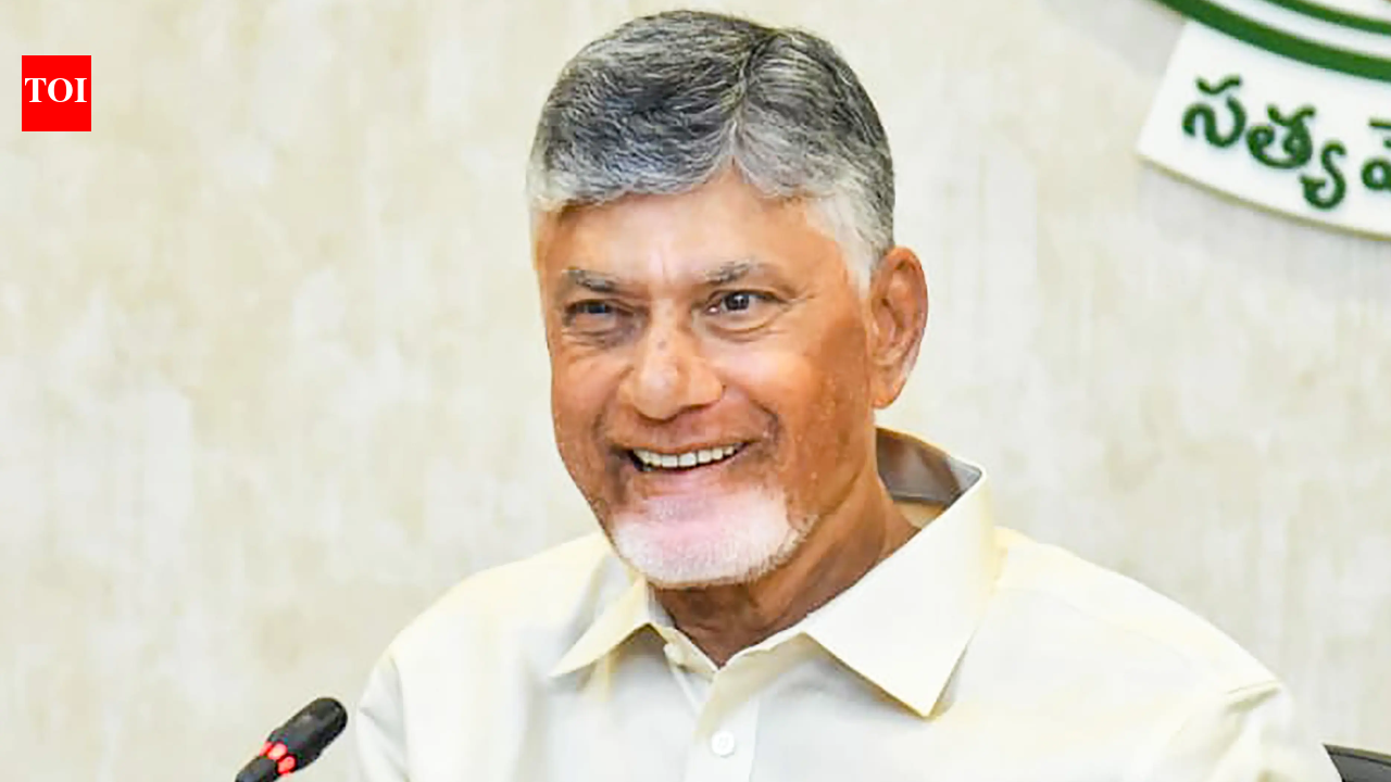 Andhra Pradesh govt to roll out widow pensions for 1.53L beneficiaries from June