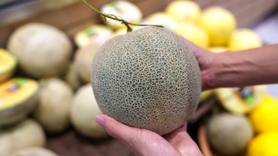 Think your store-bought Cantaloupe is safe? Read this first