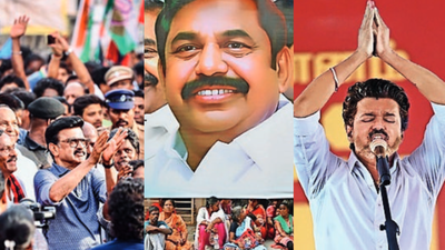 Tamil Nadu polls: By the way, what was that campaign about?