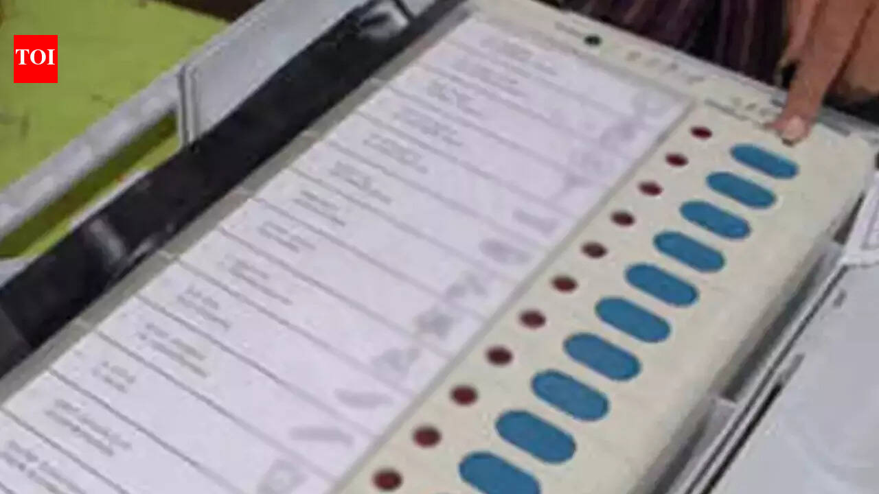 Tamil Nadu polls: No excuses, go out and vote today
