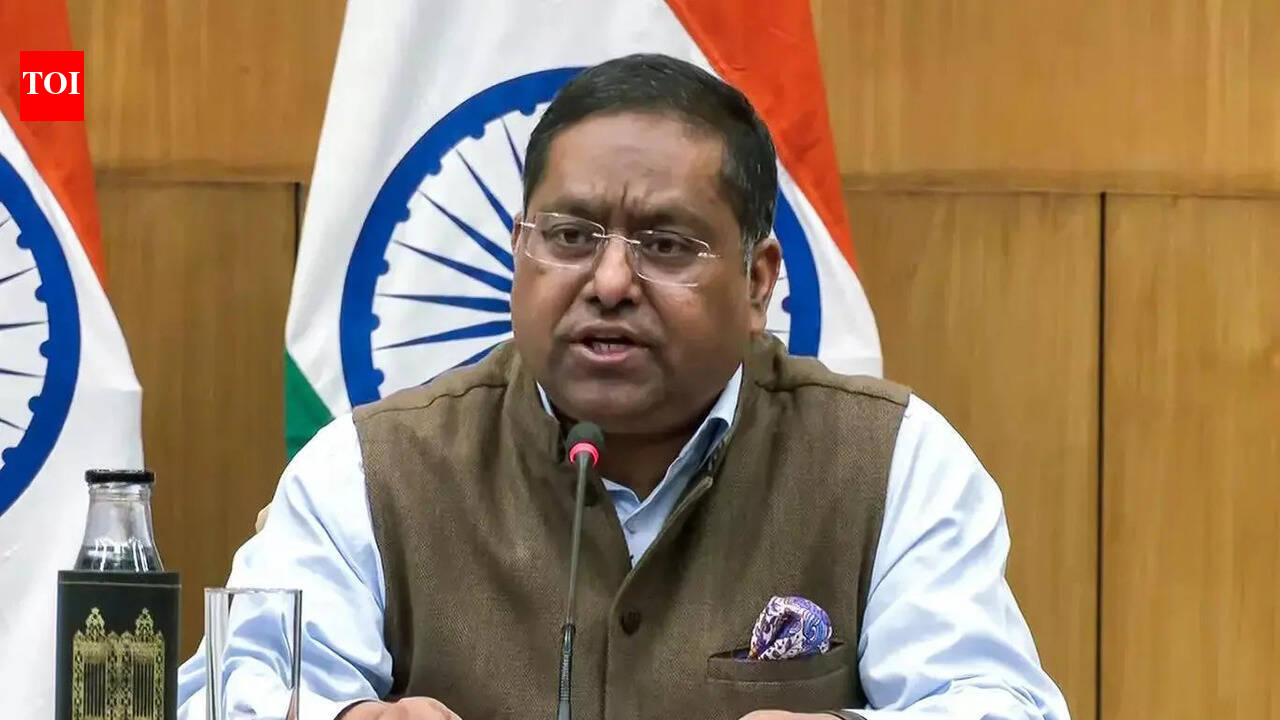 'We've seen some reports': MEA reacts to Trump's 'hell-hole' remark