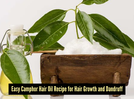 How to make camphor hair oil at home for faster hair growth
